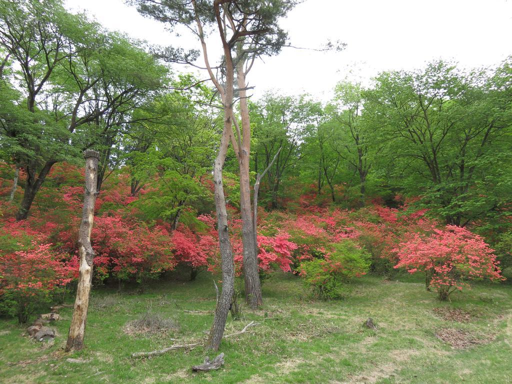 Nikko Pension L'Escale Exterior photo